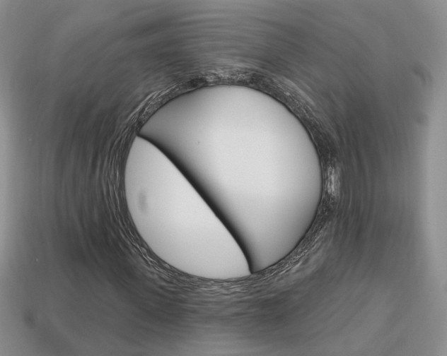 X0000113860915200909241022