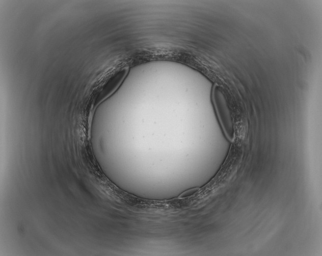 X0000113860916200909241022