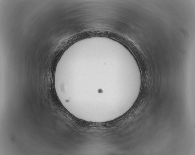 X0000113860918200909241022