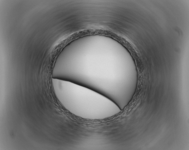 X0000113860919200909241022