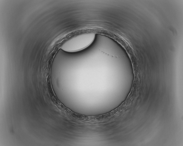 X0000113860920200909241022