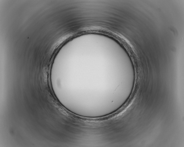 X0000113860921200909241022