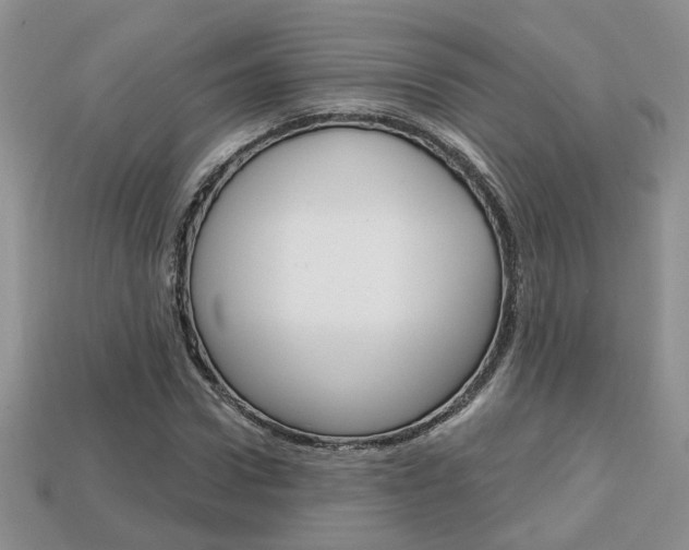 X0000113860922200909241022