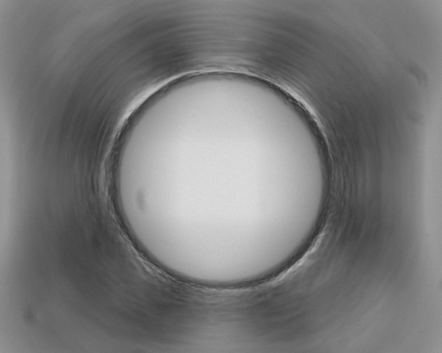 X0000113860925200909241022