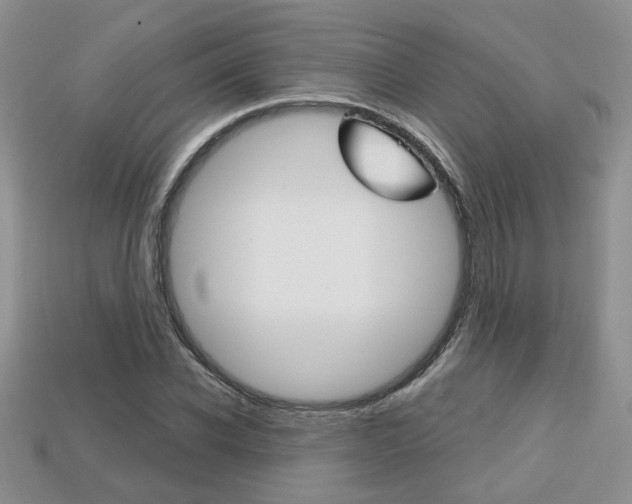X0000113860926200909241022