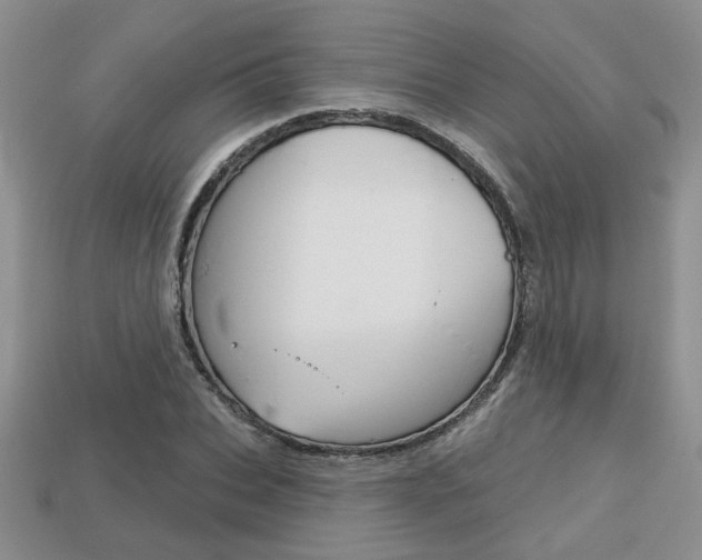 X0000113860927200909241022