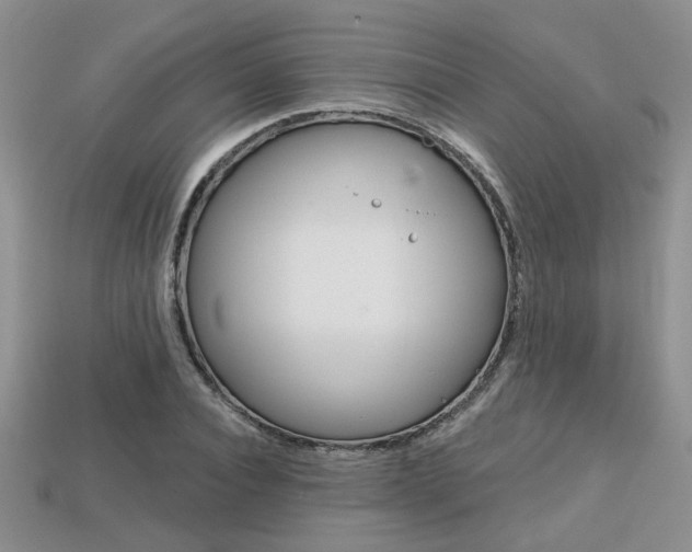X0000113860928200909241022