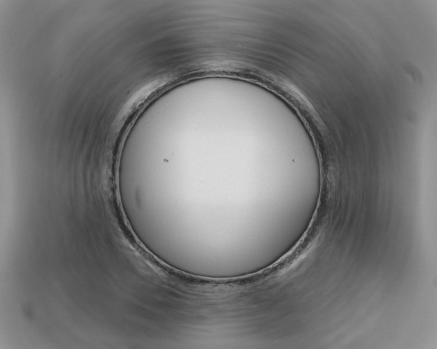 X0000113860930200909241022