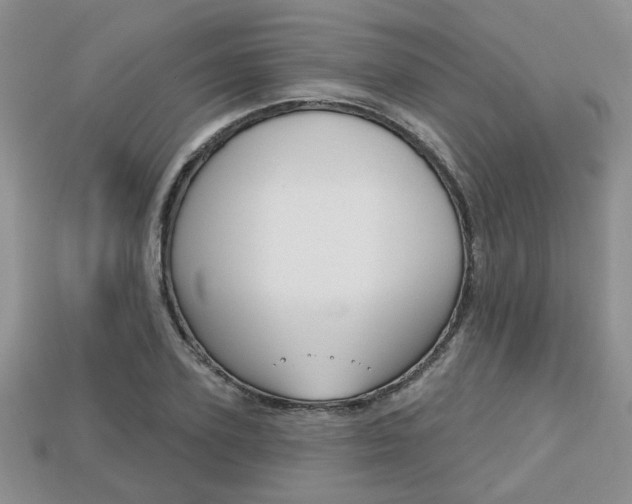 X0000113860931200909241022