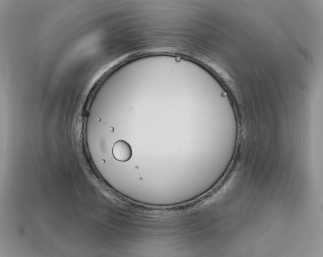 X0000113860933200909241022