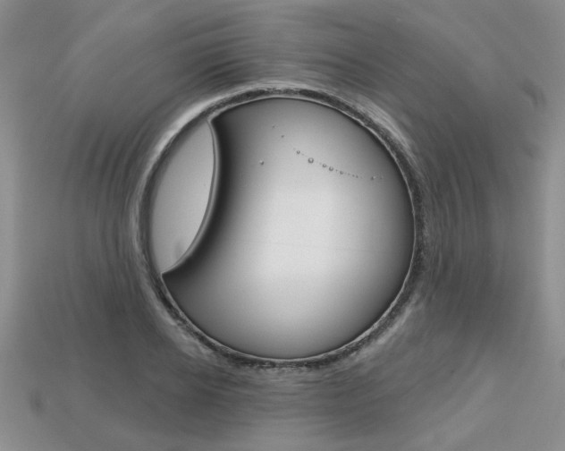 X0000113860934200909241022