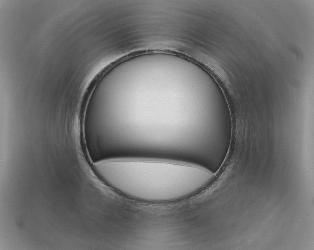 X0000113860936200909241022
