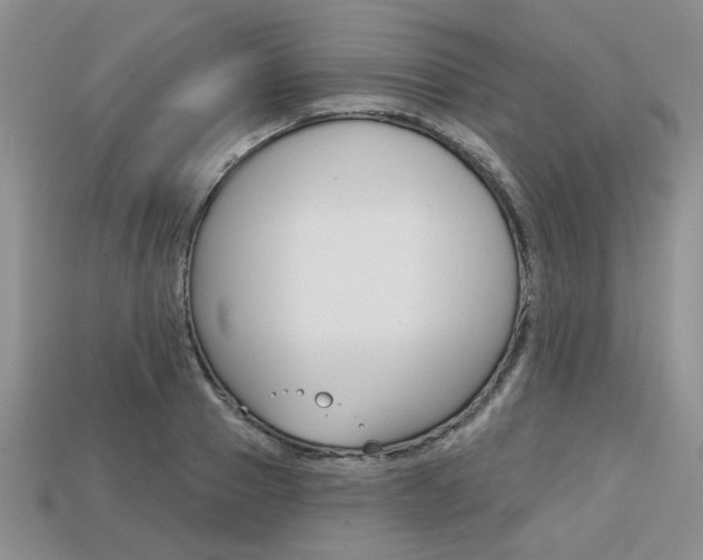 X0000113860937200909241022