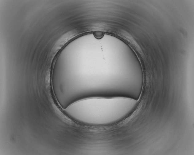 X0000113860938200909241022