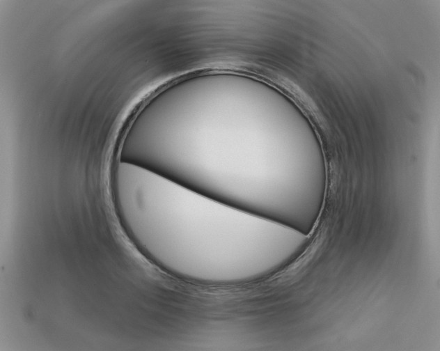 X0000113860939200909241022
