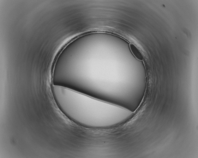 X0000113860940200909241022