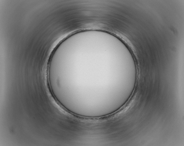 X0000113860941200909241022