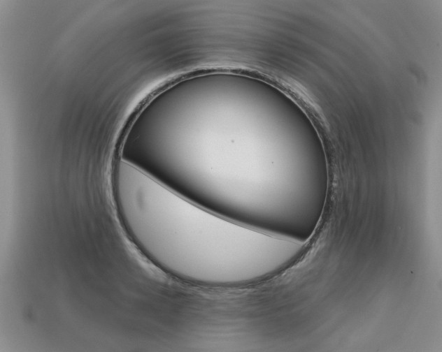 X0000113860942200909241022