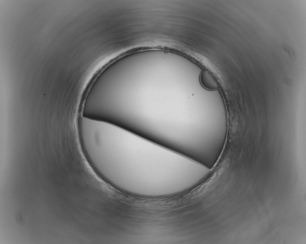 X0000113860943200909241022
