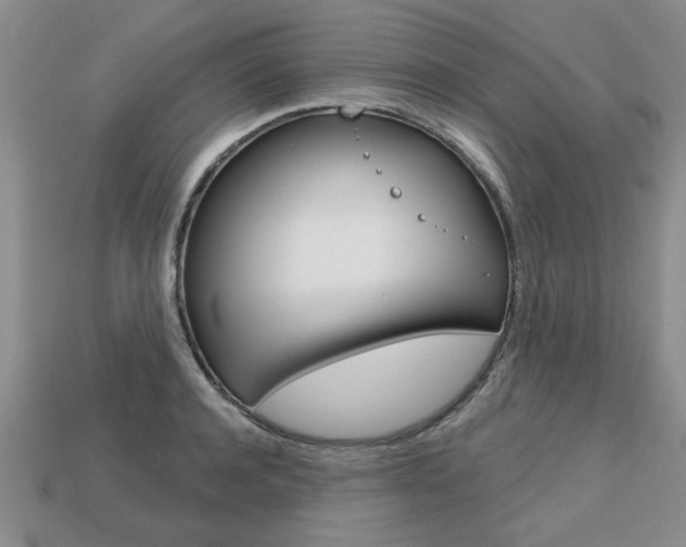 X0000113860944200909241022