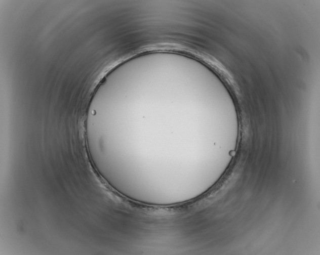 X0000113860945200909241022