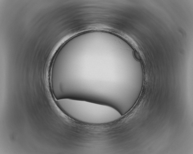 X0000113860947200909241023