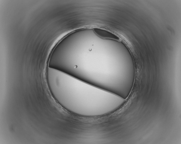 X0000113860948200909241023