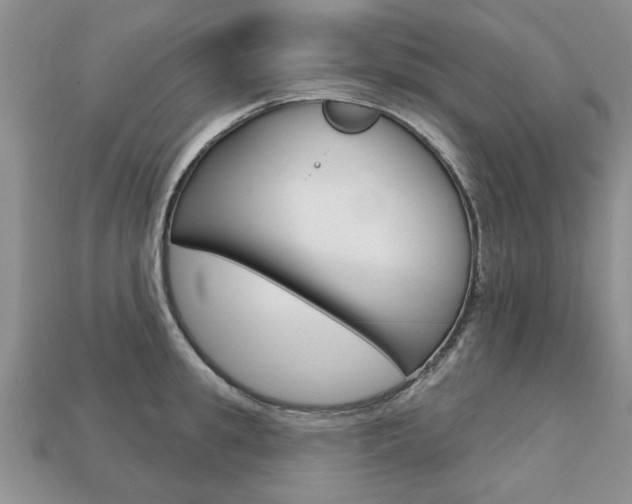 X0000113860949200909241023