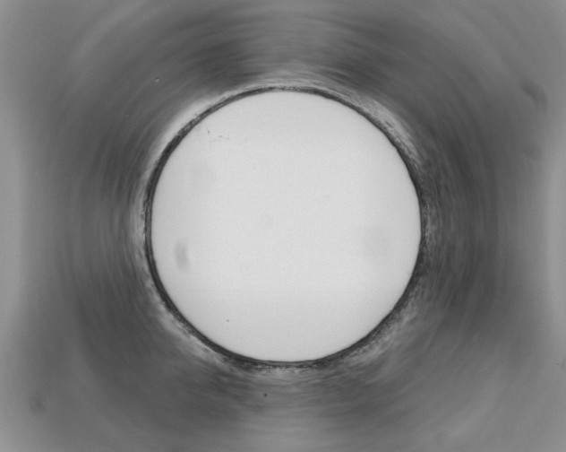 X0000113860950200909241023