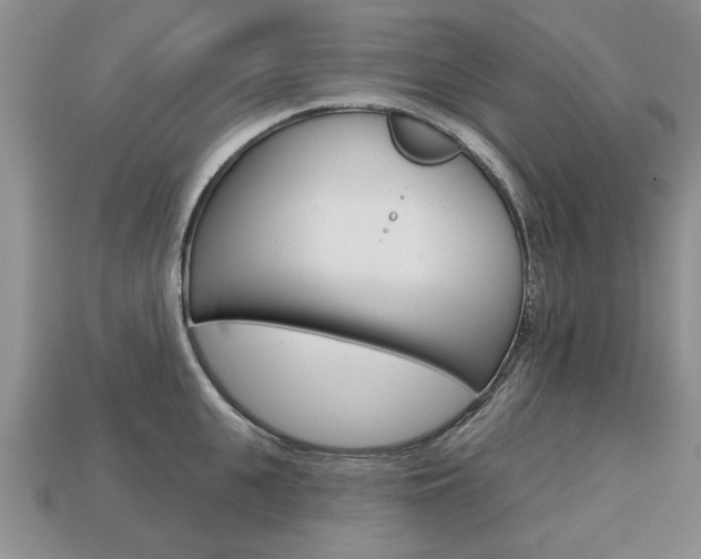 X0000113860951200909241023