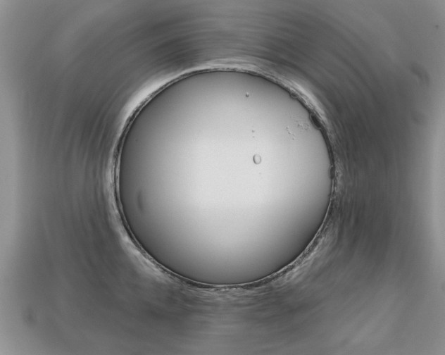 X0000113860952200909241023
