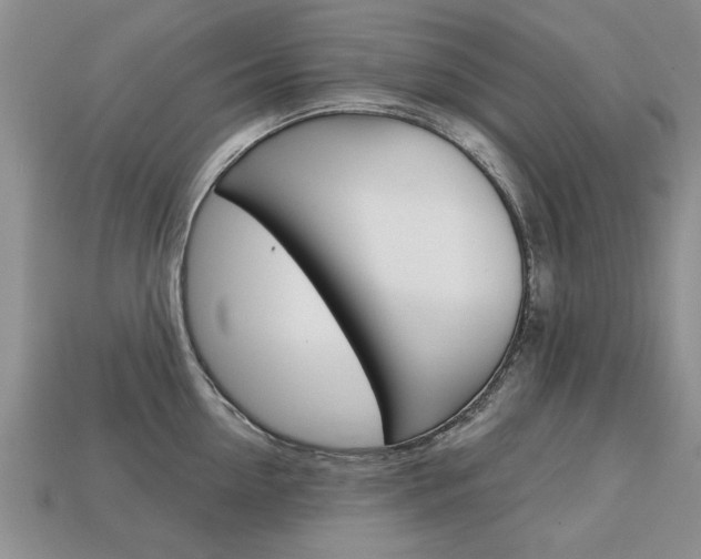 X0000113860954200909241023