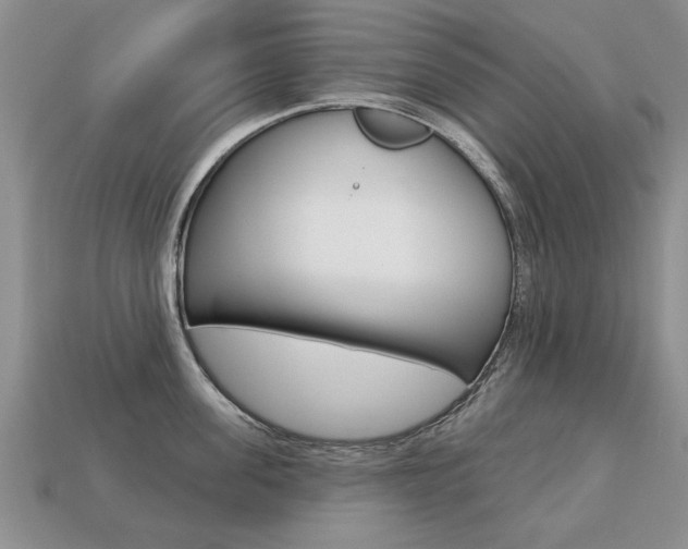 X0000113860955200909241023