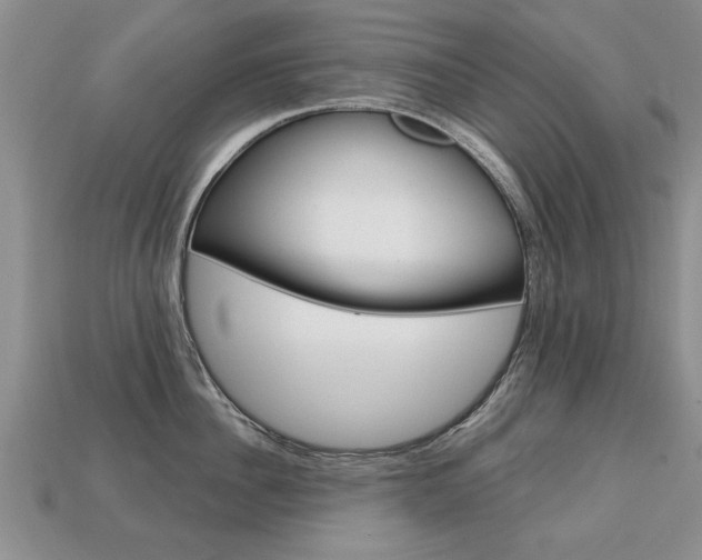 X0000113860956200909241023