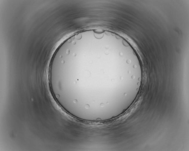 X0000113860957200909241023