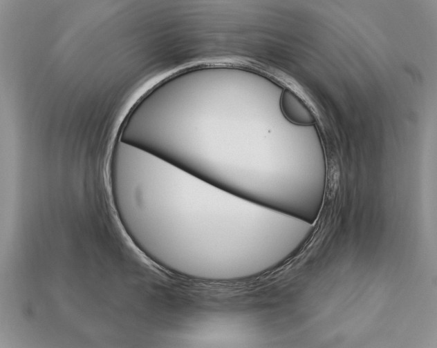 X0000113860959200909241023