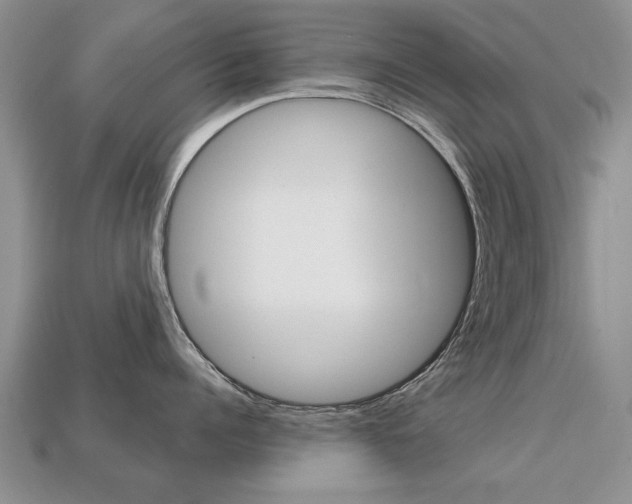 X0000113860960200909241023