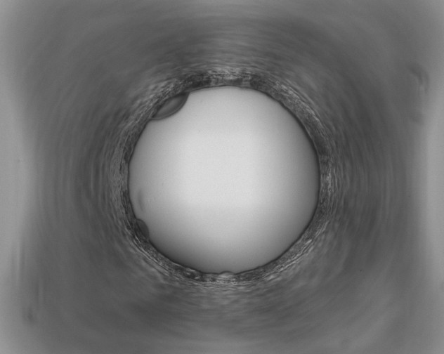 X0000113860961200909241022