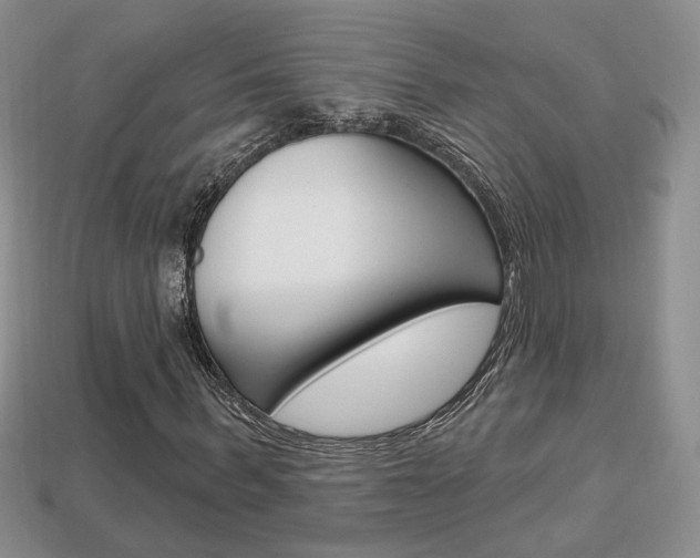 X0000113860963200909241022