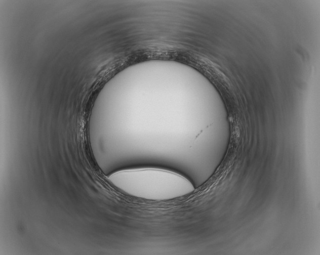 X0000113860964200909241022
