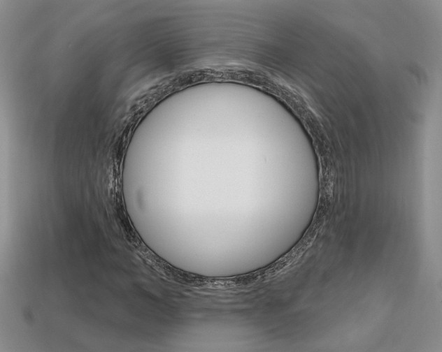 X0000113860966200909241022