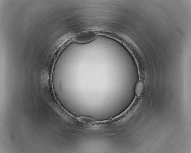 X0000113860969200909241022