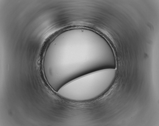 X0000113860971200909241022