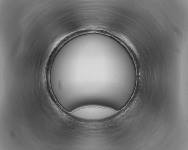 X0000113860972200909241022