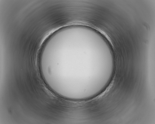 X0000113860973200909241022