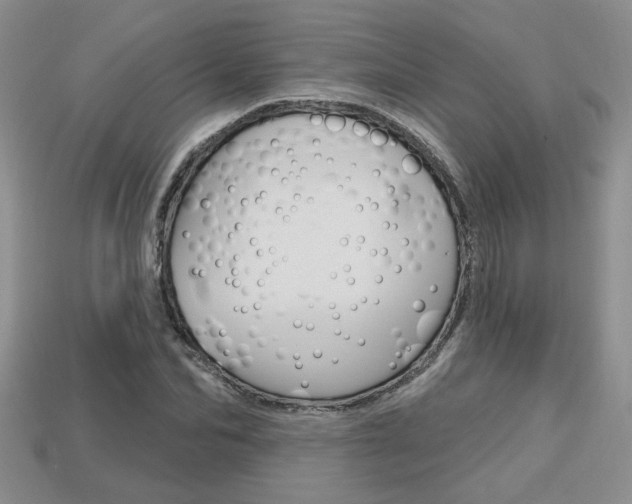X0000113860974200909241022