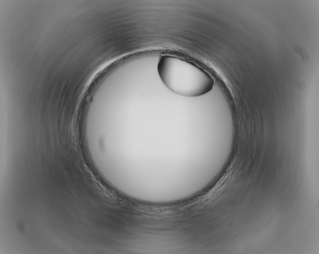 X0000113860975200909241022