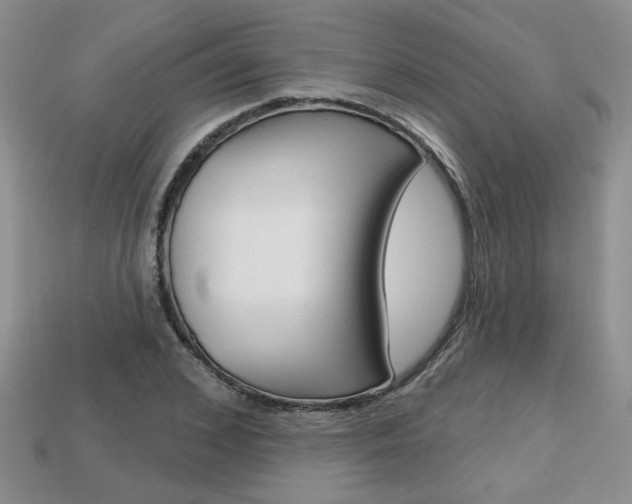 X0000113860976200909241022