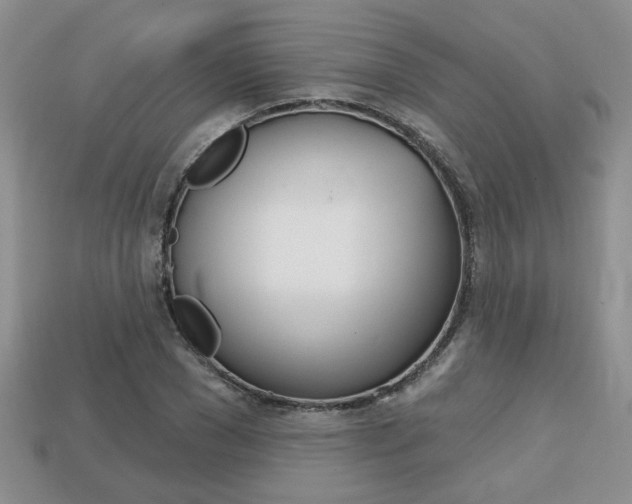 X0000113860977200909241022