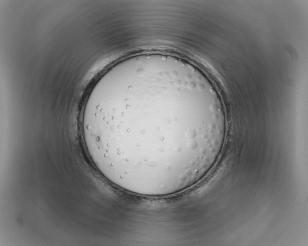 X0000113860978200909241022